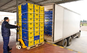 Container Loading Supervision