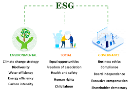 ESG Assessments